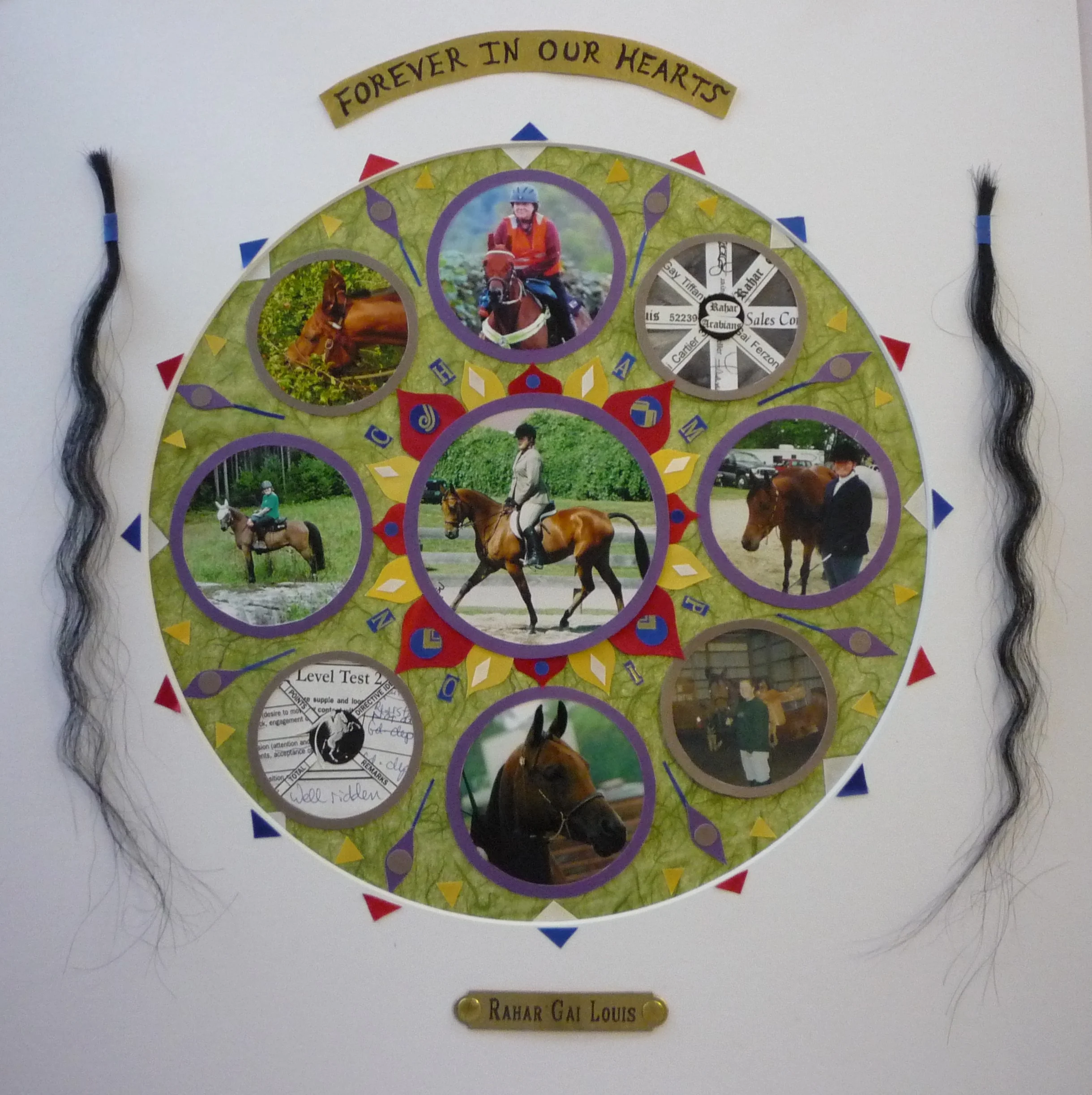 #M1 Compass of Memory for Louis