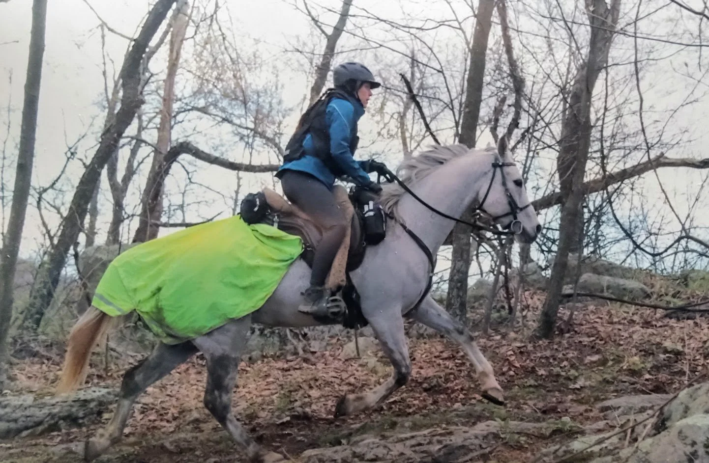 Endurance Ride: Fort Valley in VA