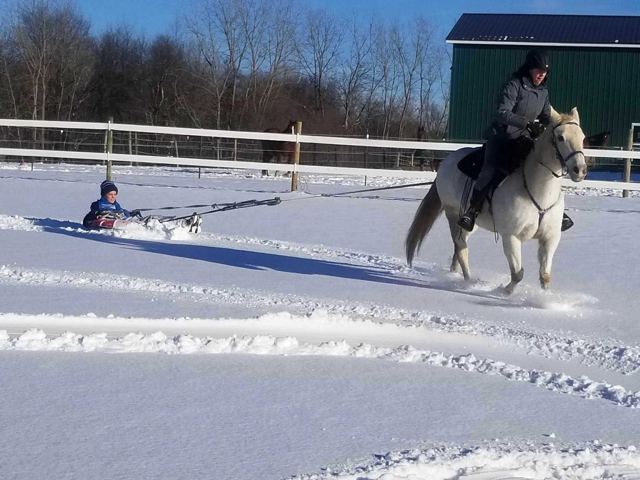 Horse Scouts Session #2