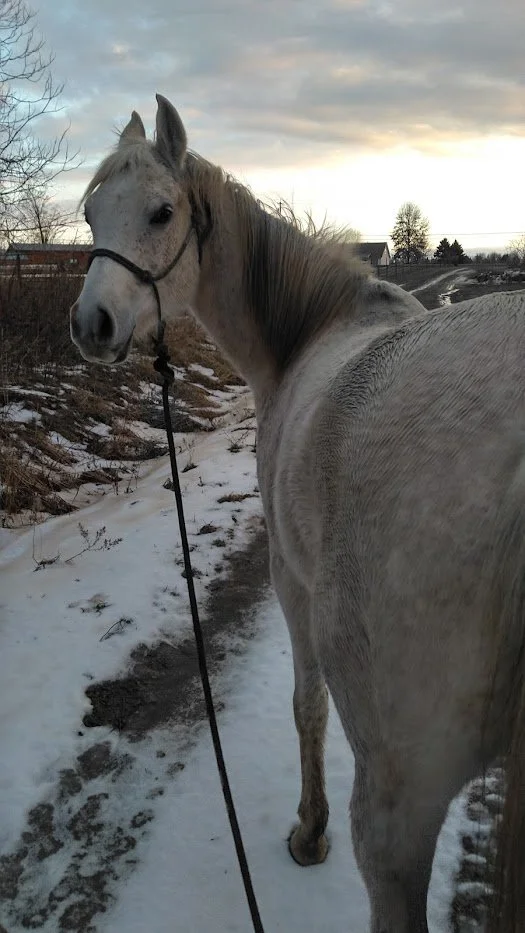 I Give You Permission