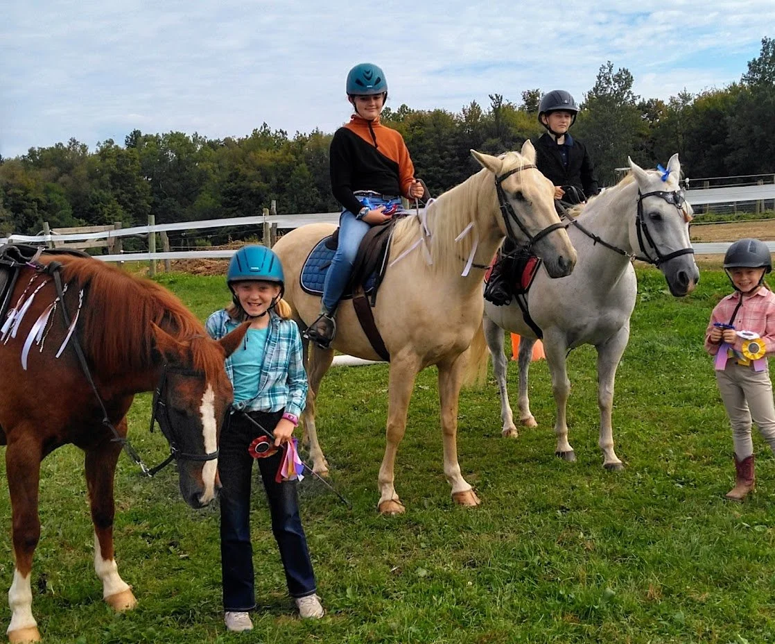 Laurelin Farm Schooling Fun Show II 