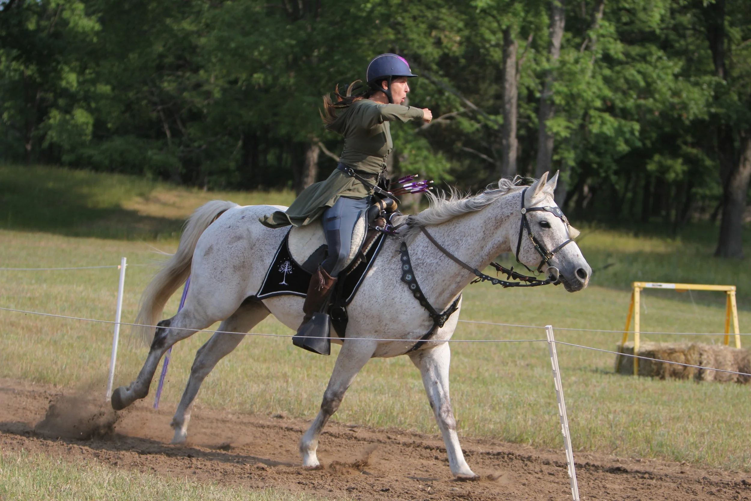 EFMA Jackpot Series/Grading Mounted Archery Competition 3