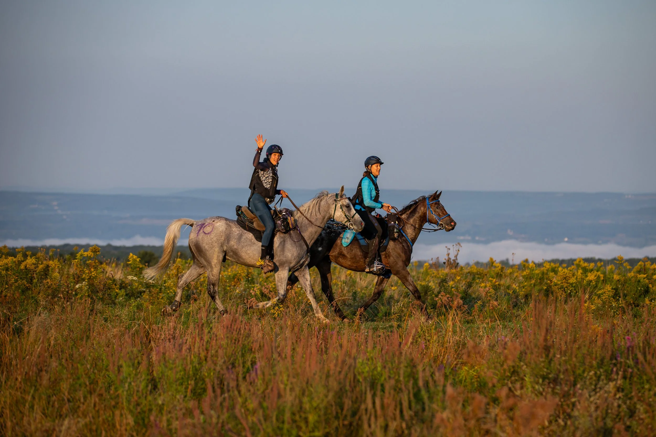 The Chautauqua Challenge Endurance Ride