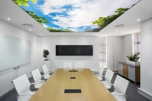 The-boardroom-of-the-future-300x200.jpg