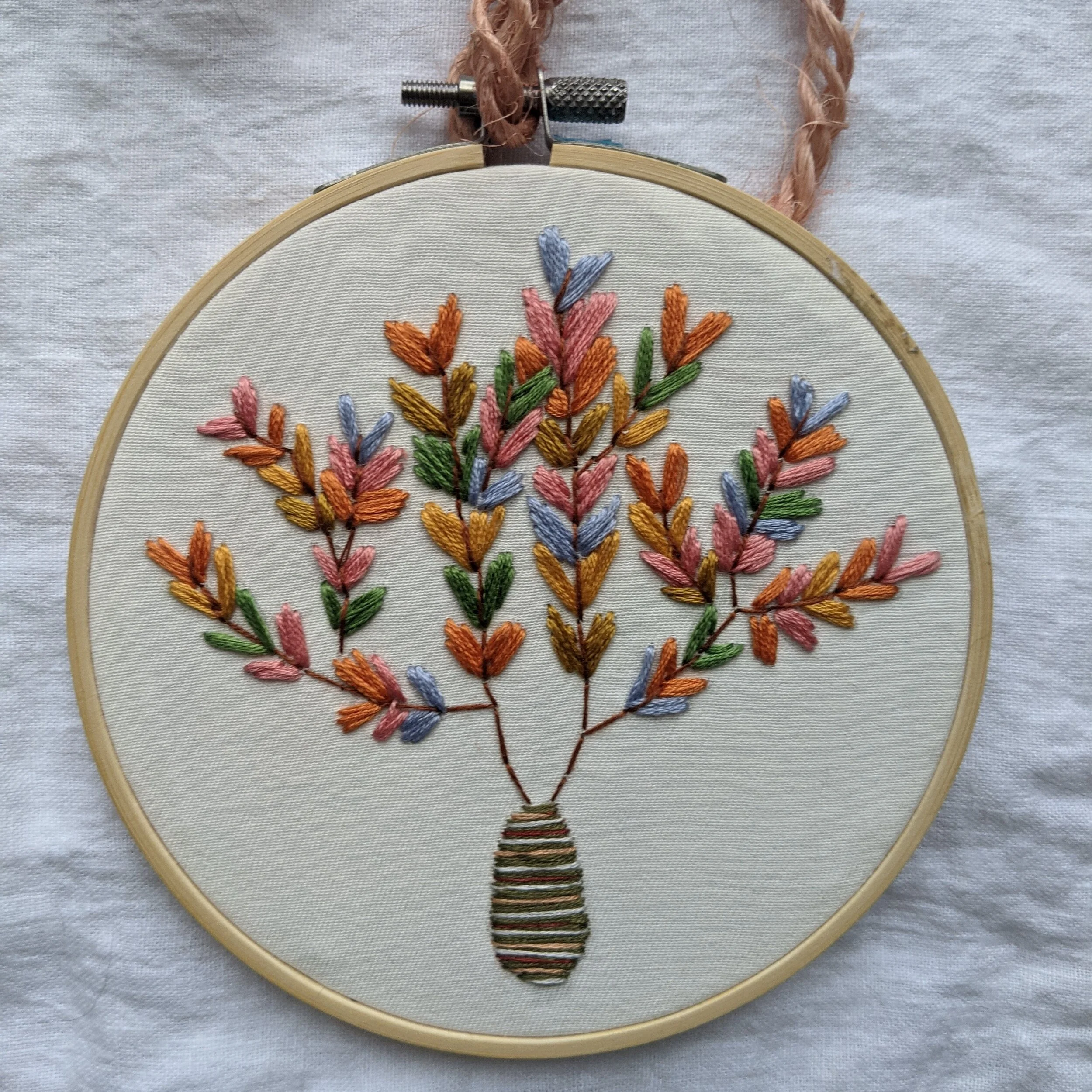 Winter Rainbow Plant.jpg