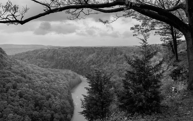 _MG_0250.jpg