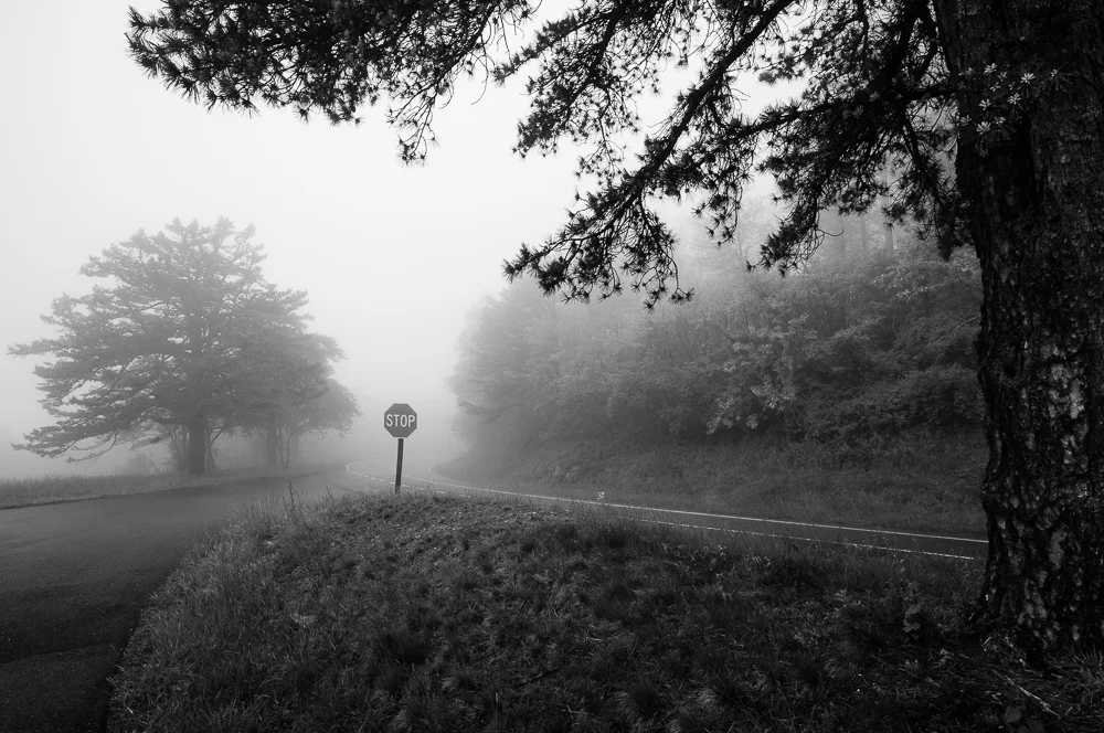 Looking towards the north on Skyline Drive at one of the overlooks.