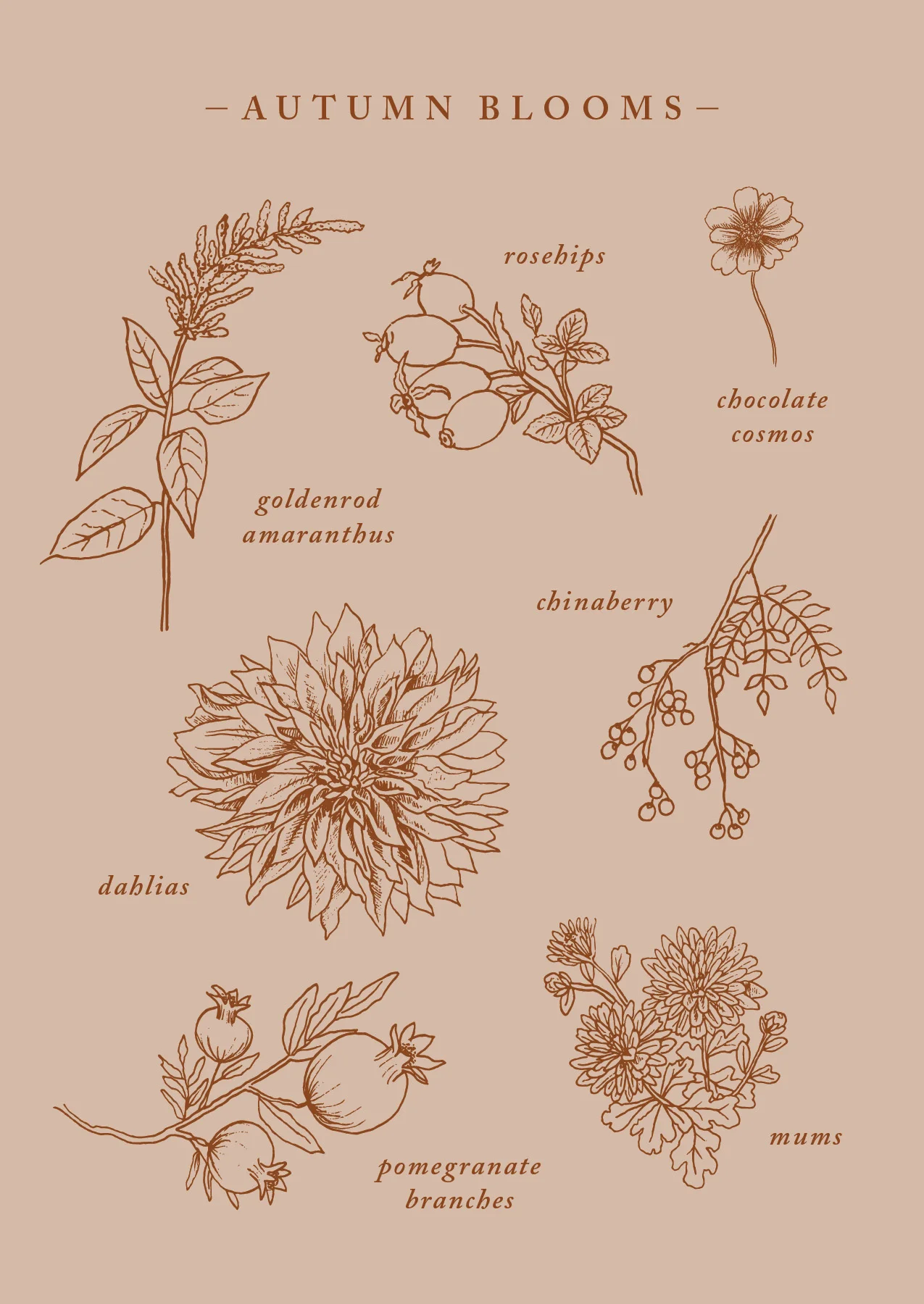 Autumn Florals Postcard_forweb2.jpg