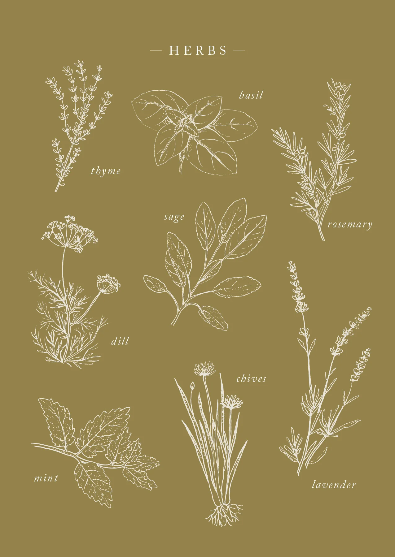 Herb Postcard_forweb2.jpg