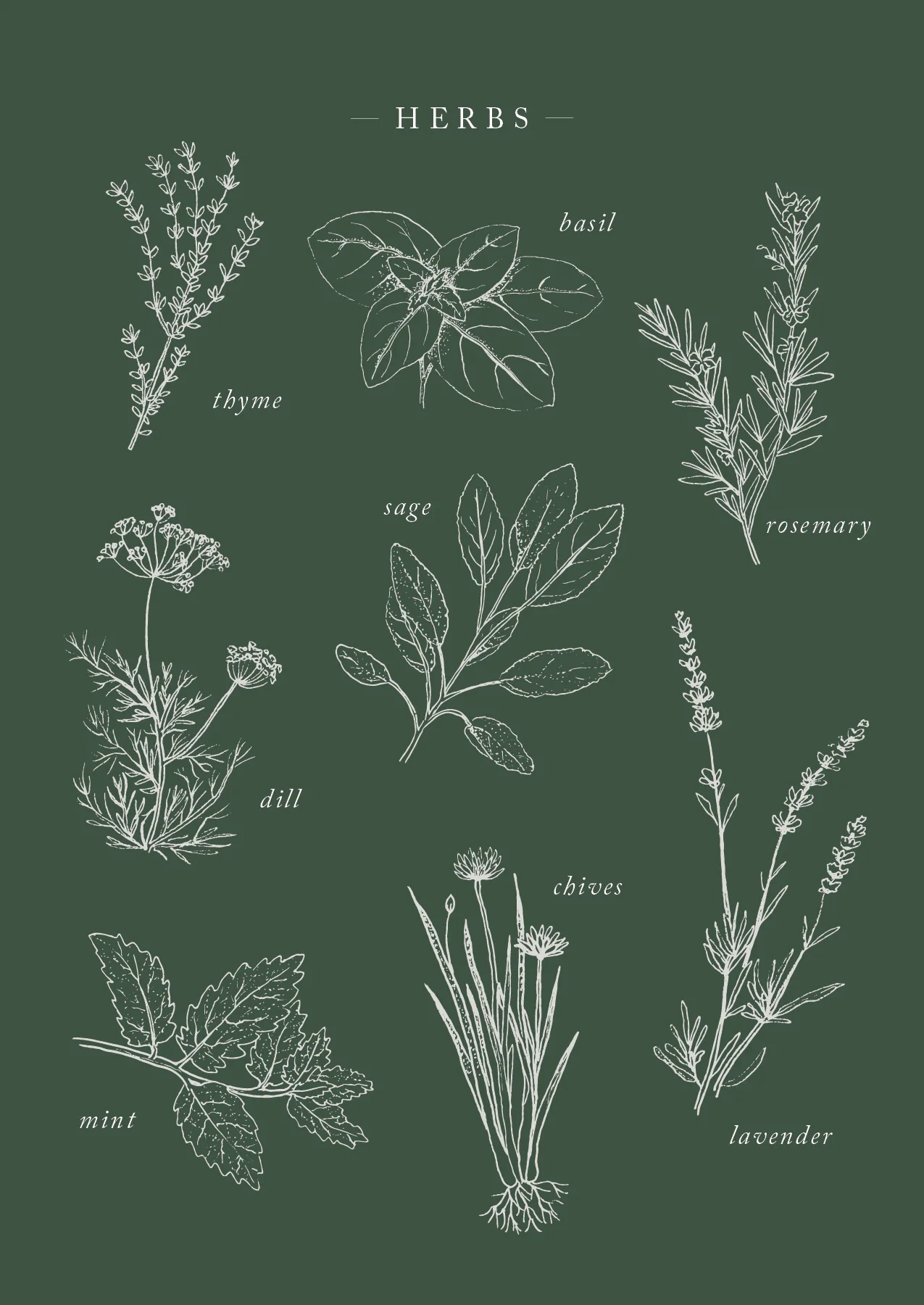 Herb Postcard_forweb3.jpg
