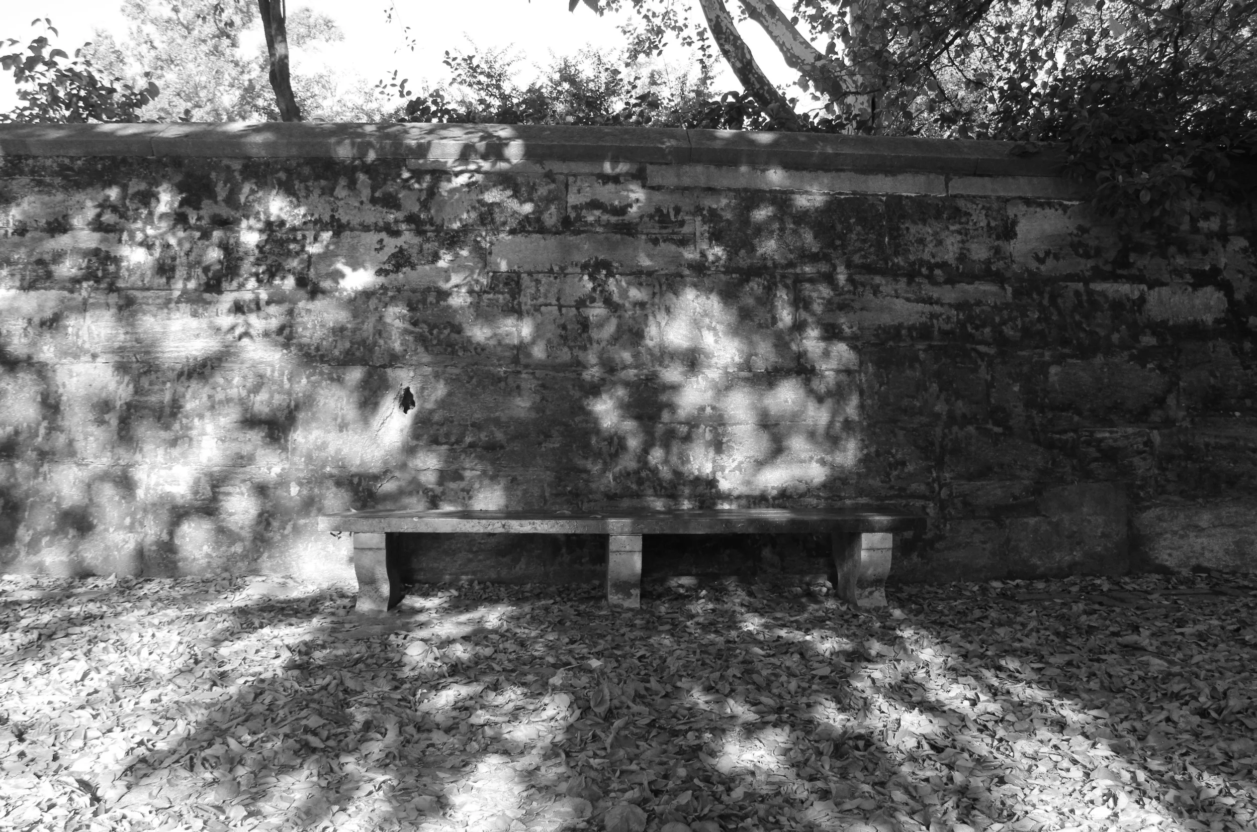 Central Park bench