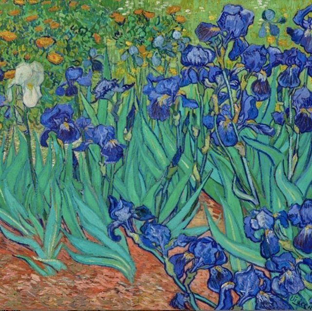 Happy Birthday to Dutch artist Vincent Van Gogh (b. 1853-1890). ❤️ Loved his iconic paintings and reading his letters to his brother Theo were one of the reasons I started studying art at Christie&rsquo;s to work in the art world. Irises, created in 