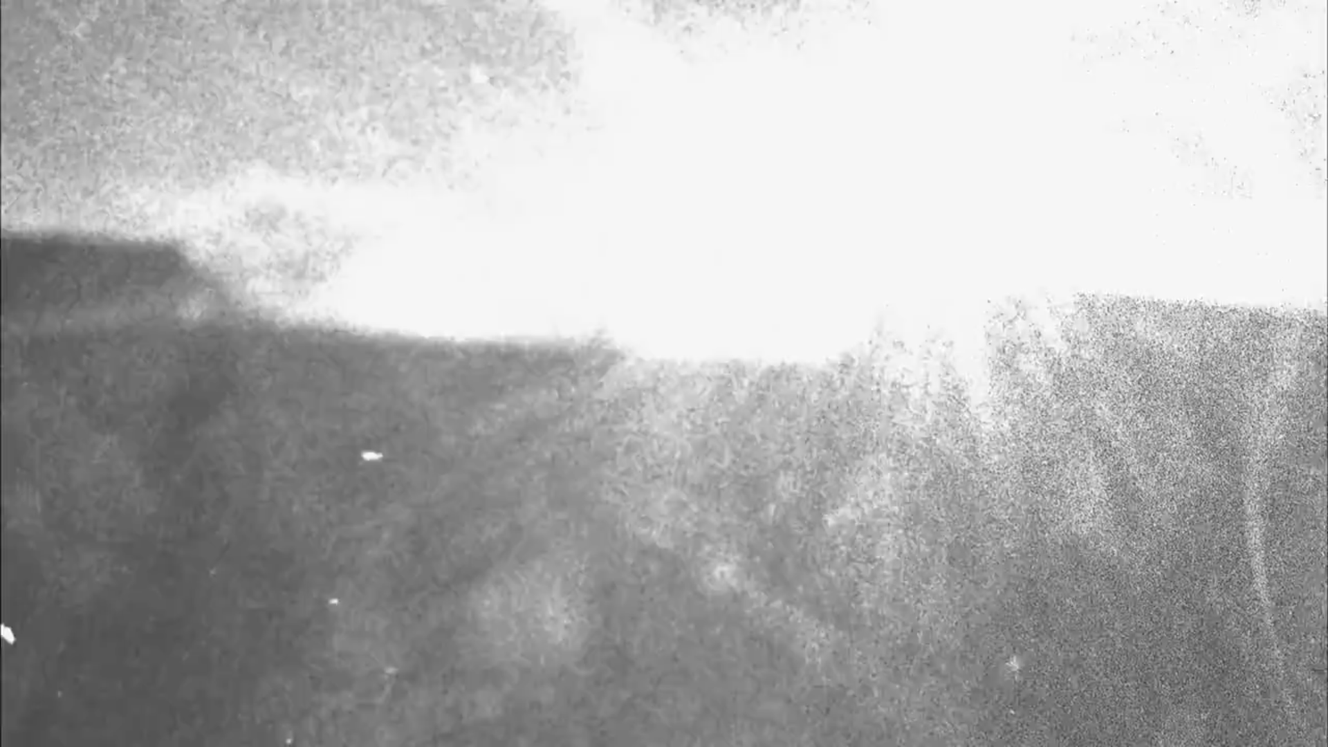 credit: sound design, field recordist