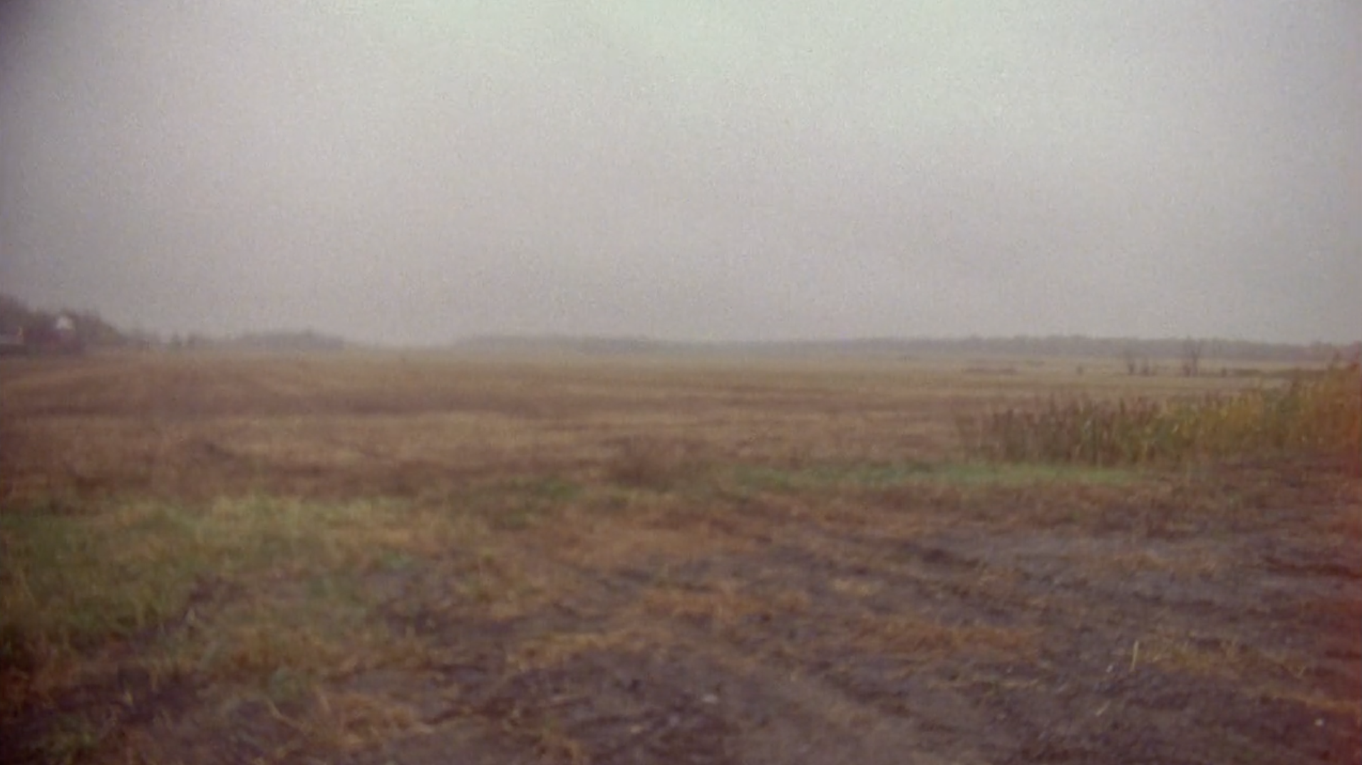 Screen Shot 2018-08-21 at 1.56.19 PM.png