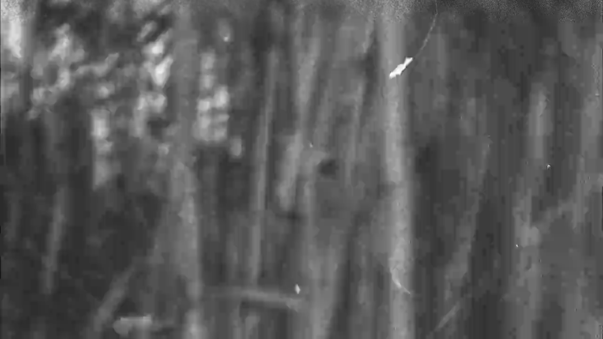 Screen Shot 2018-08-22 at 11.29.05 AM.png