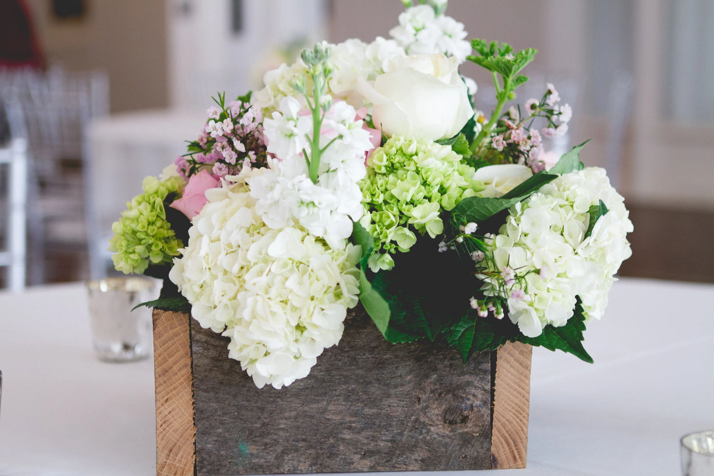 Rebecca Fusco Favorites-0101.jpg