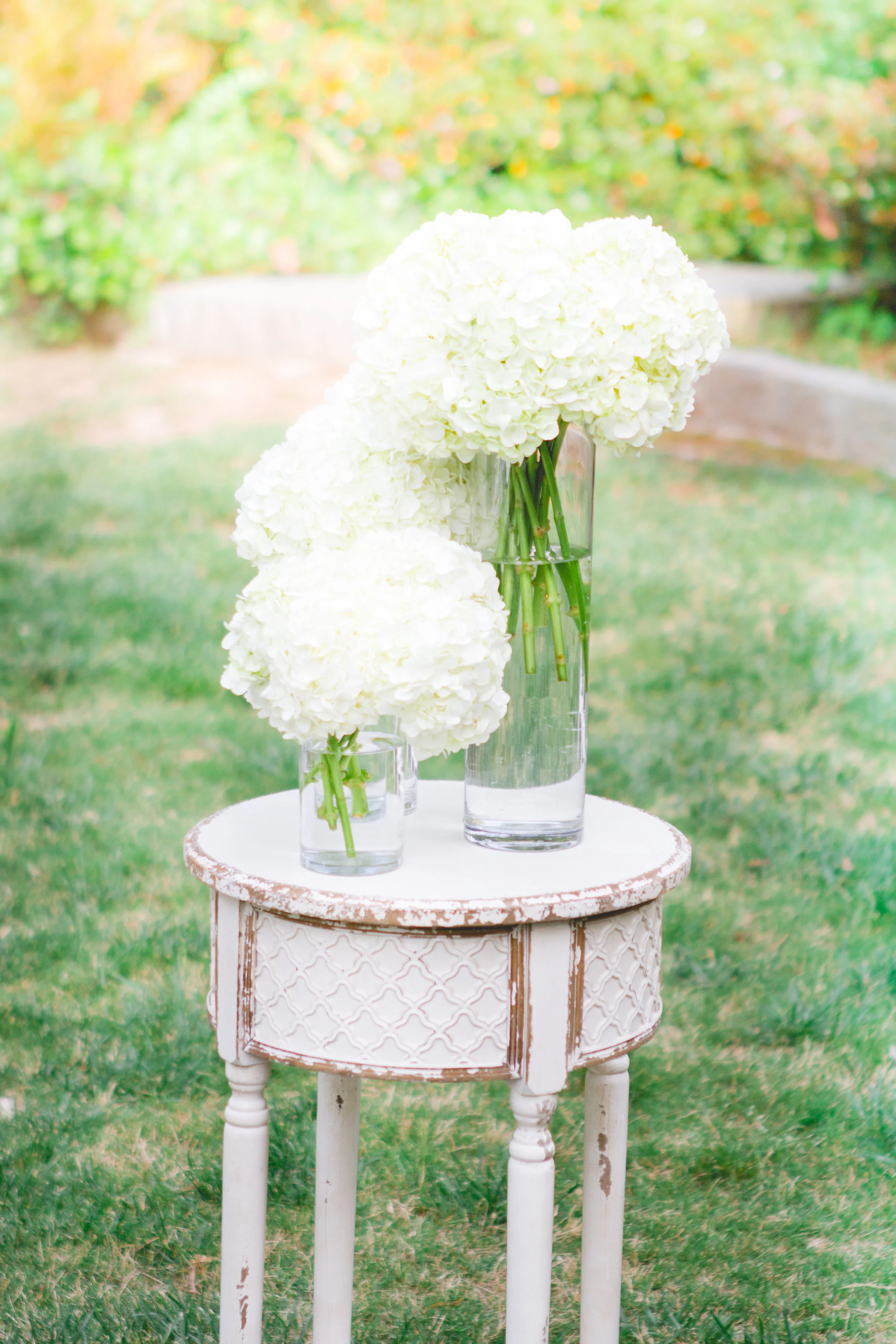 Rebecca Fusco Favorites-0118.jpg