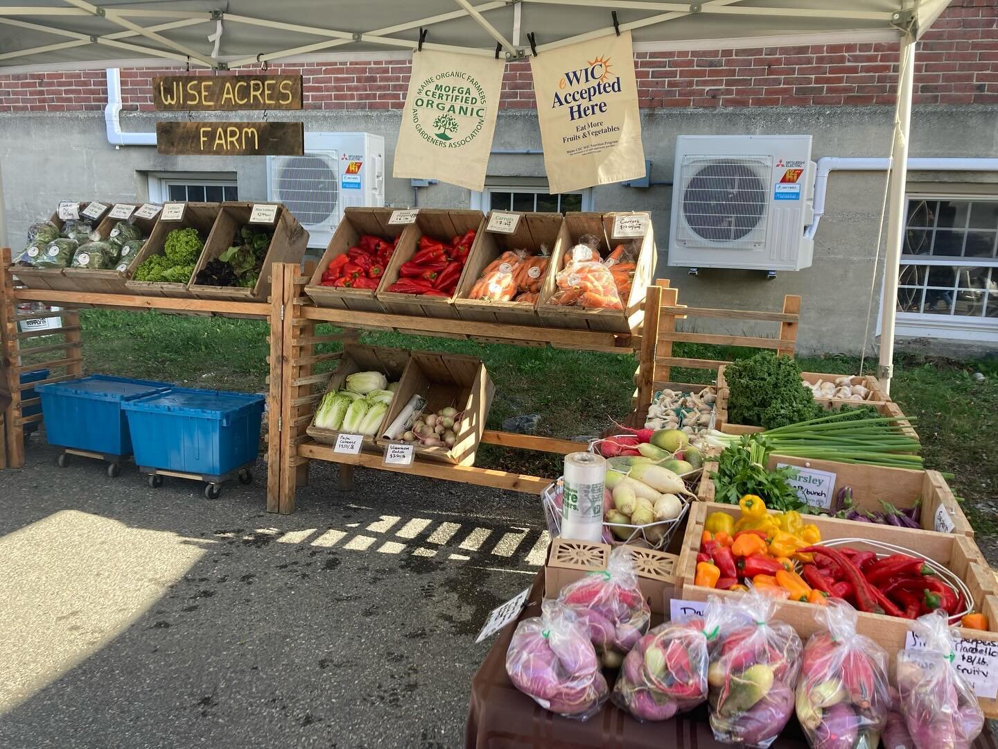 Joy&rsquo;s at @ellsworthfarmersmarket this morning with this spread! I&rsquo;ll be at @bangorfarmersmarket tomorrow! Freezer deal: 5 lb of absolutely dead-ripe perfect red peppers for $25!