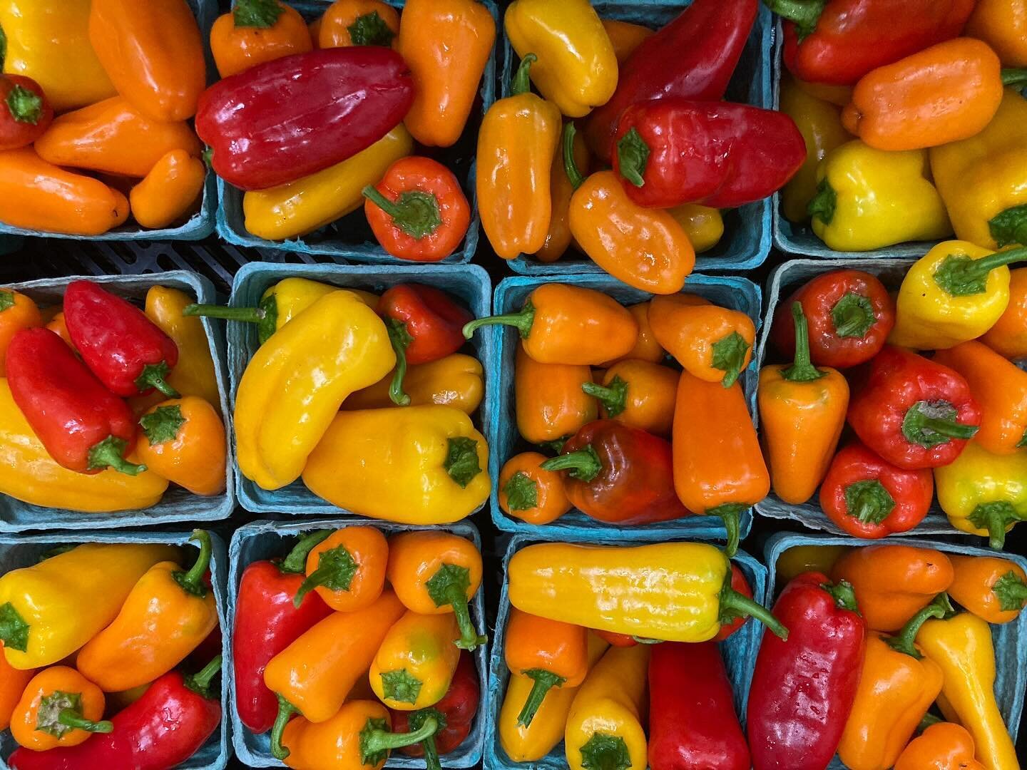 Peppers (and other things) in the parking lot across from the library till 1:30! @bangorfarmersmarket