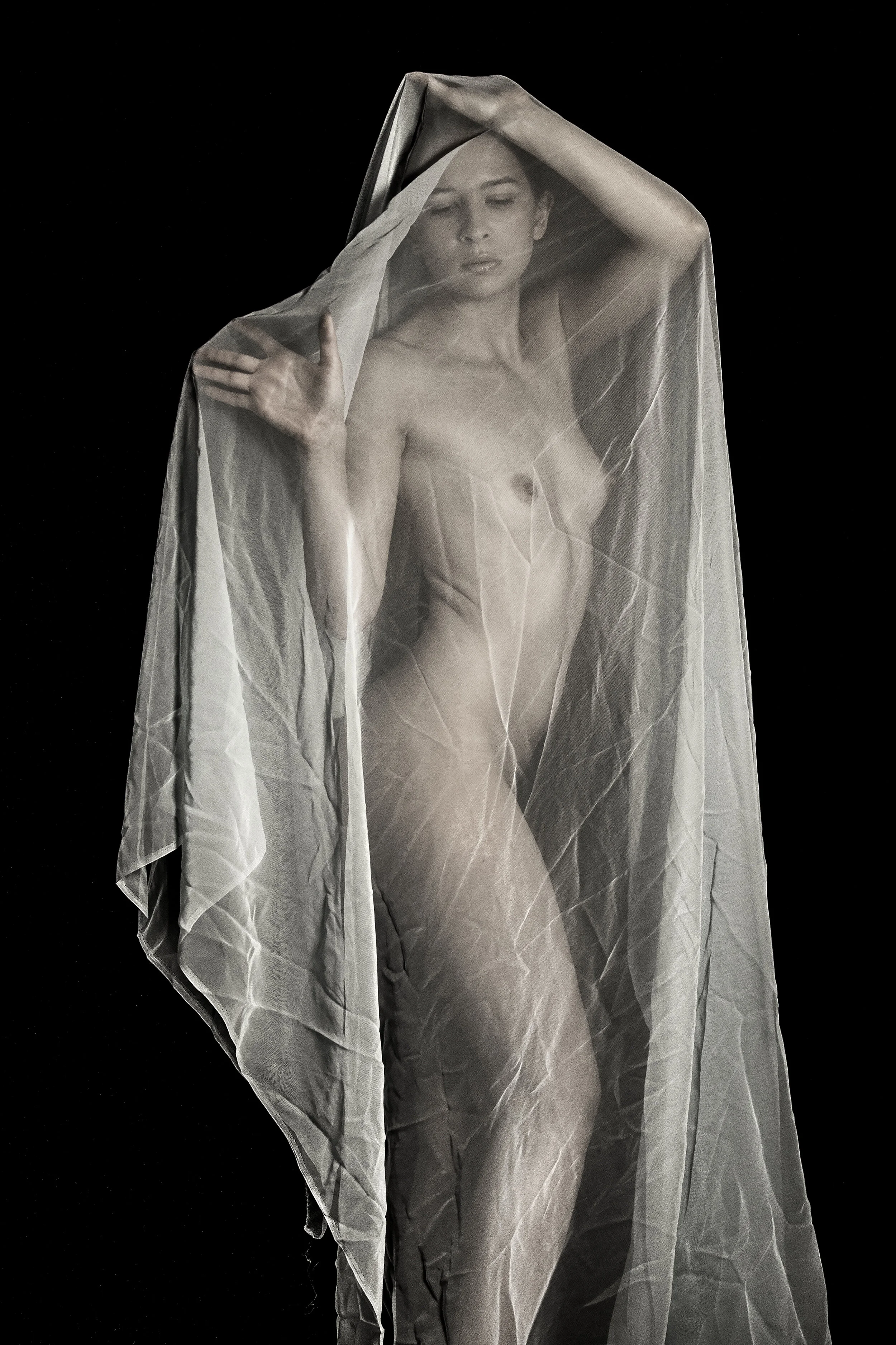 S_Sheba 0232 bw 02.jpg