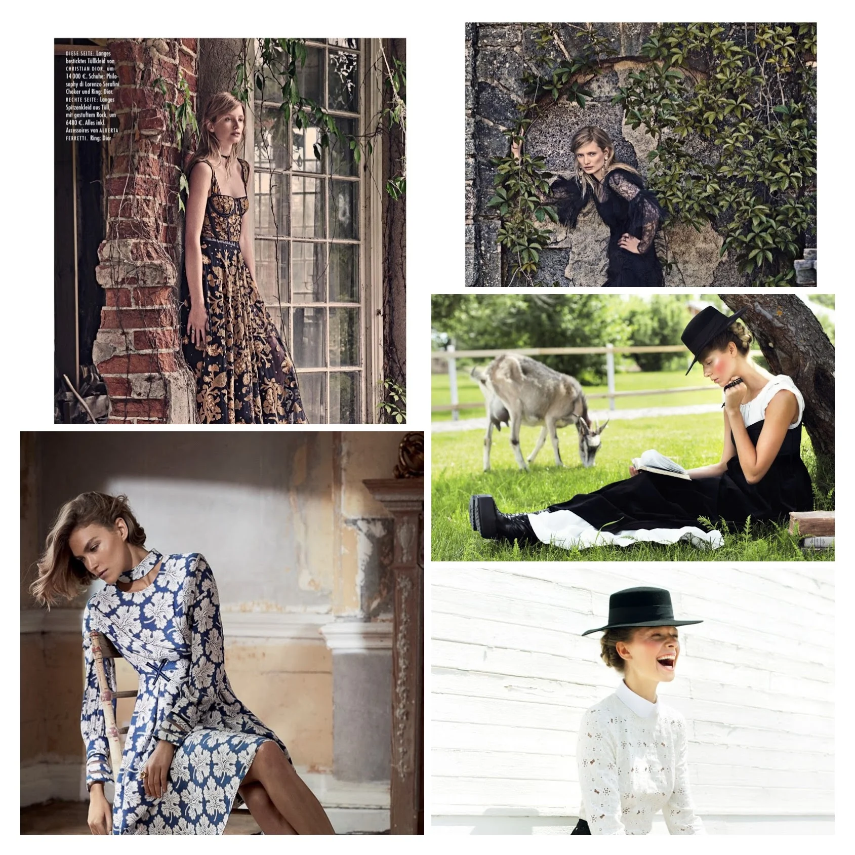 Amish1-800x533-COLLAGE.jpg