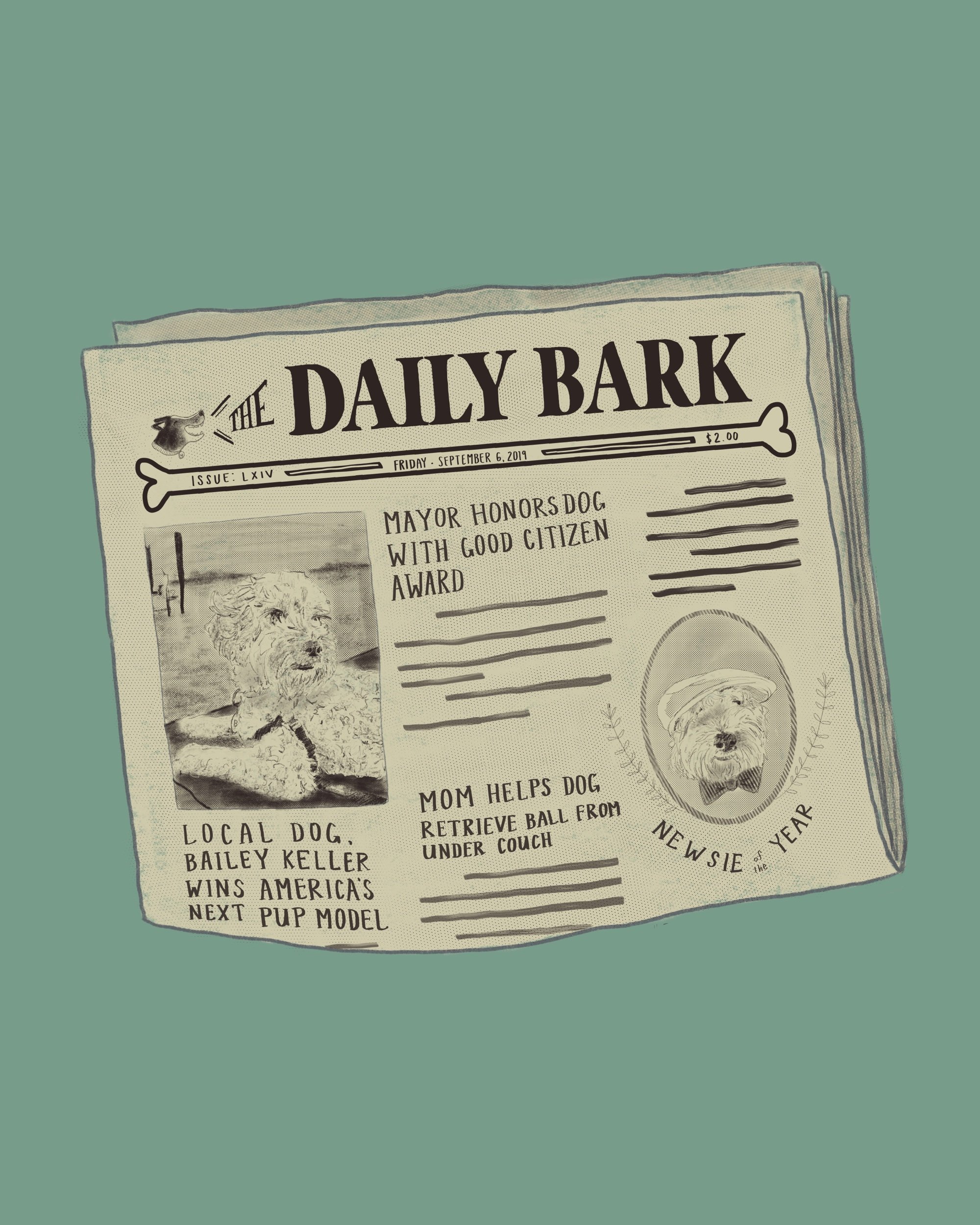 The Daily Bark: Bailey