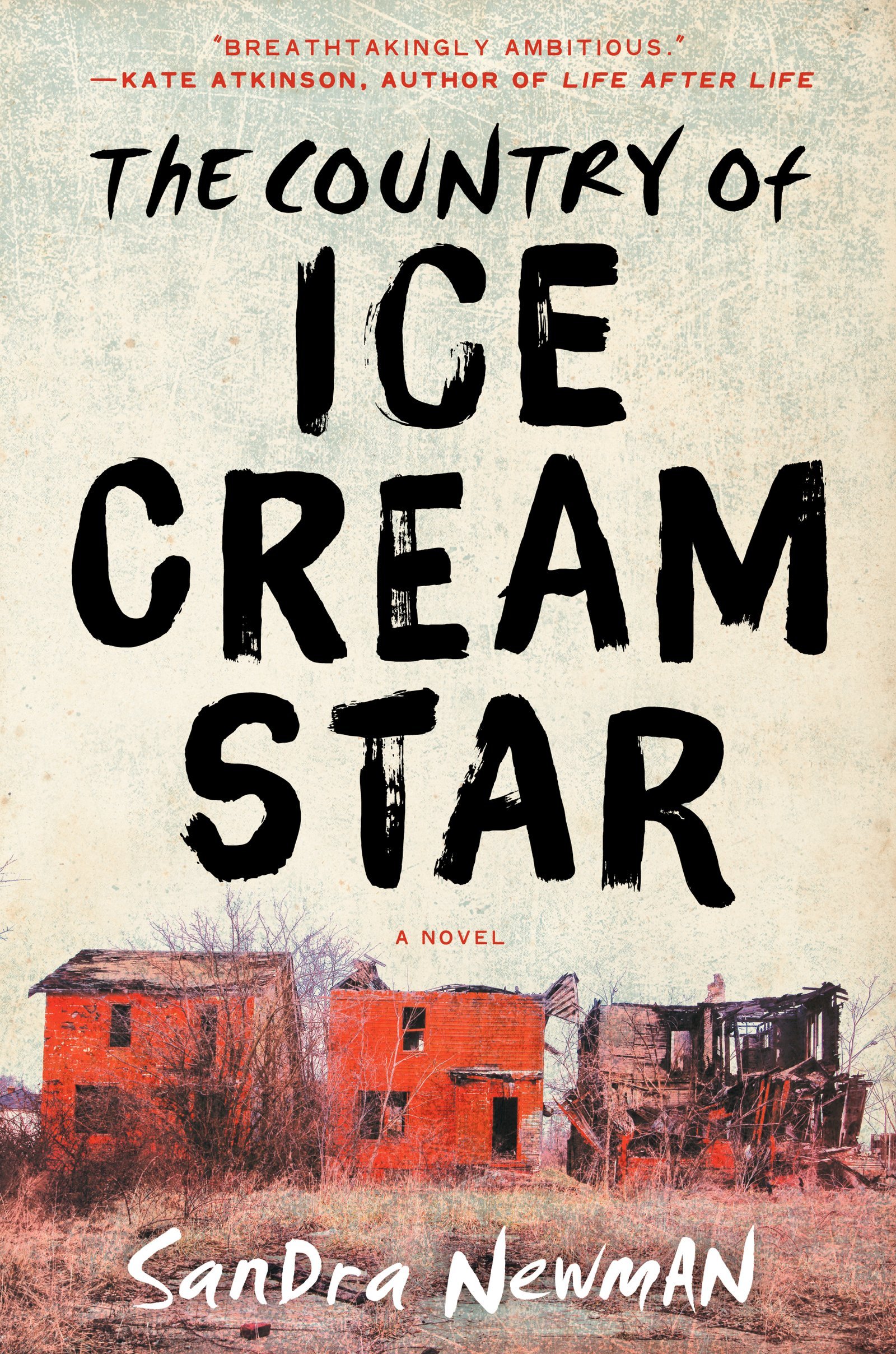 The Country of Ice Cream Star released on February 10, 2015