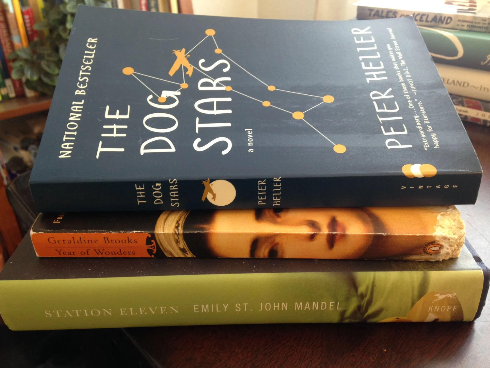 All My Friends are Dead: Finding Home in a Post-Pandemic World