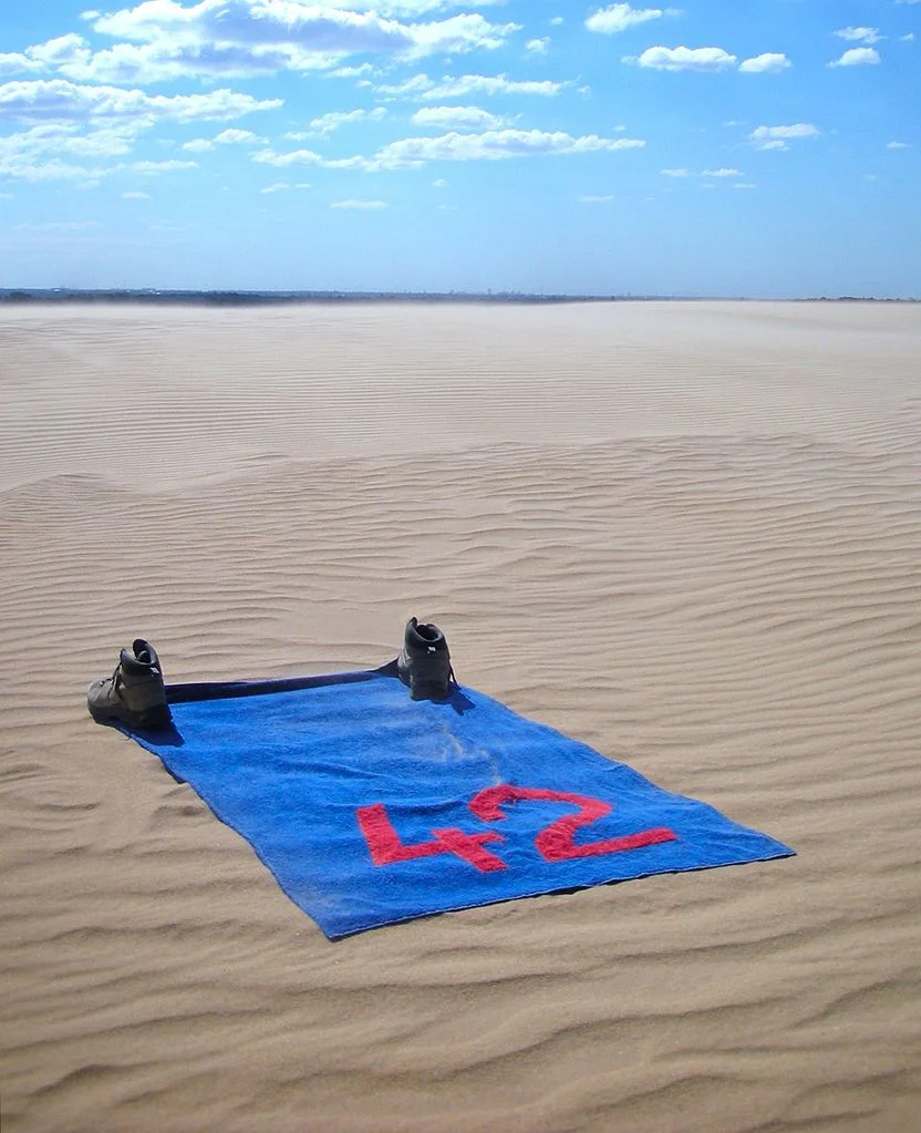 Get ready, hitchhikers, Towel Day is May 25. Don't forget your towel and Don't Panic! 42 is the answer to life, the universe and everything. A 2009 tribute to Douglas Adams by Juilan Hammer. 