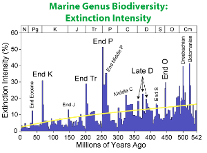 Extinction events as seen from the ocean, by Robert A. Rohde