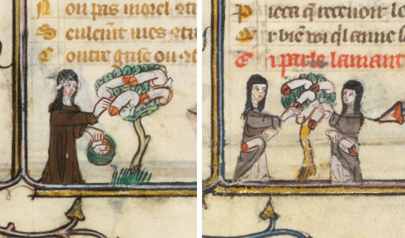 Marginalia from the " Roman de la Rose " (France, 14th c.)