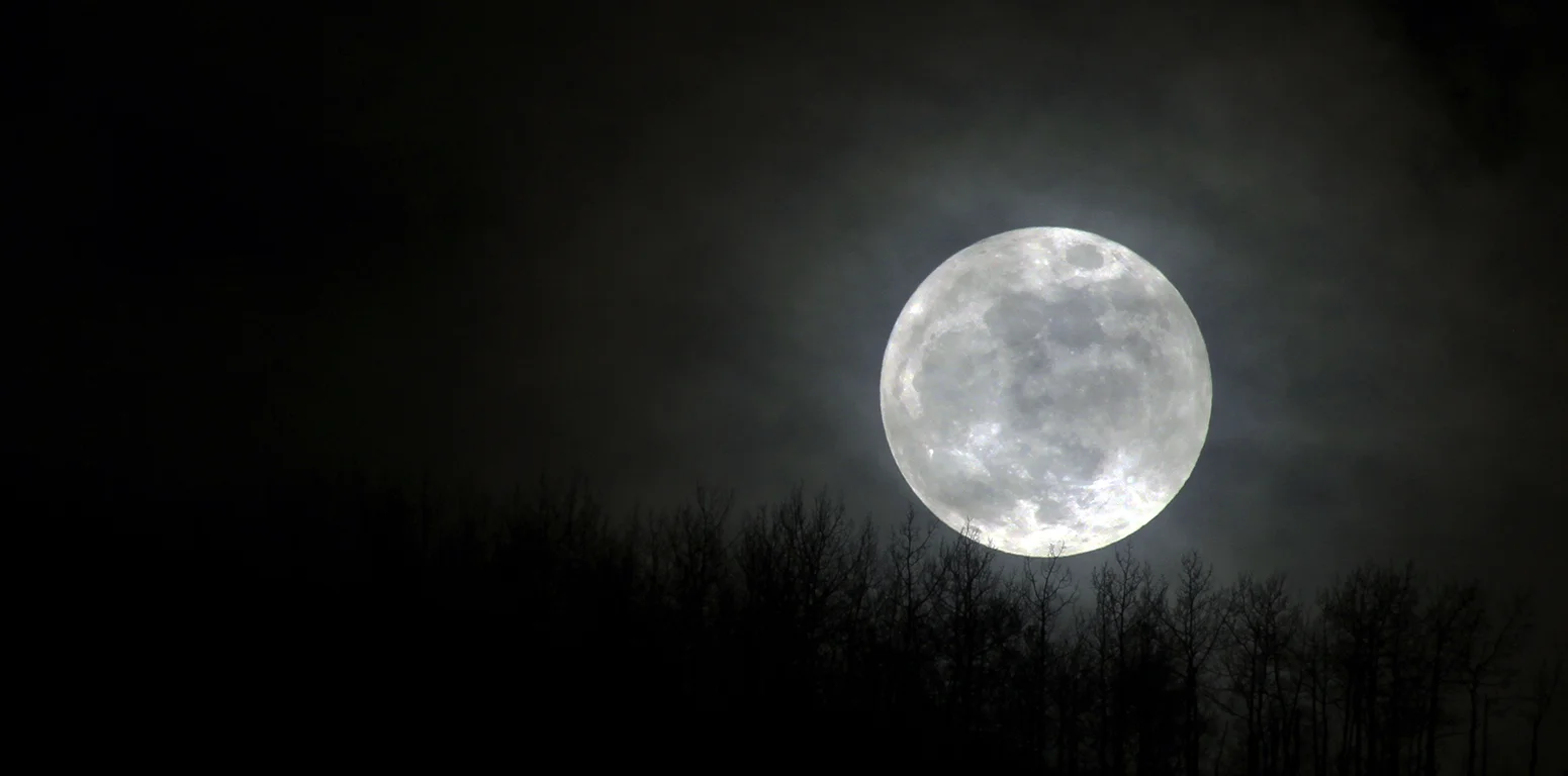 dark-dark-night.jpg