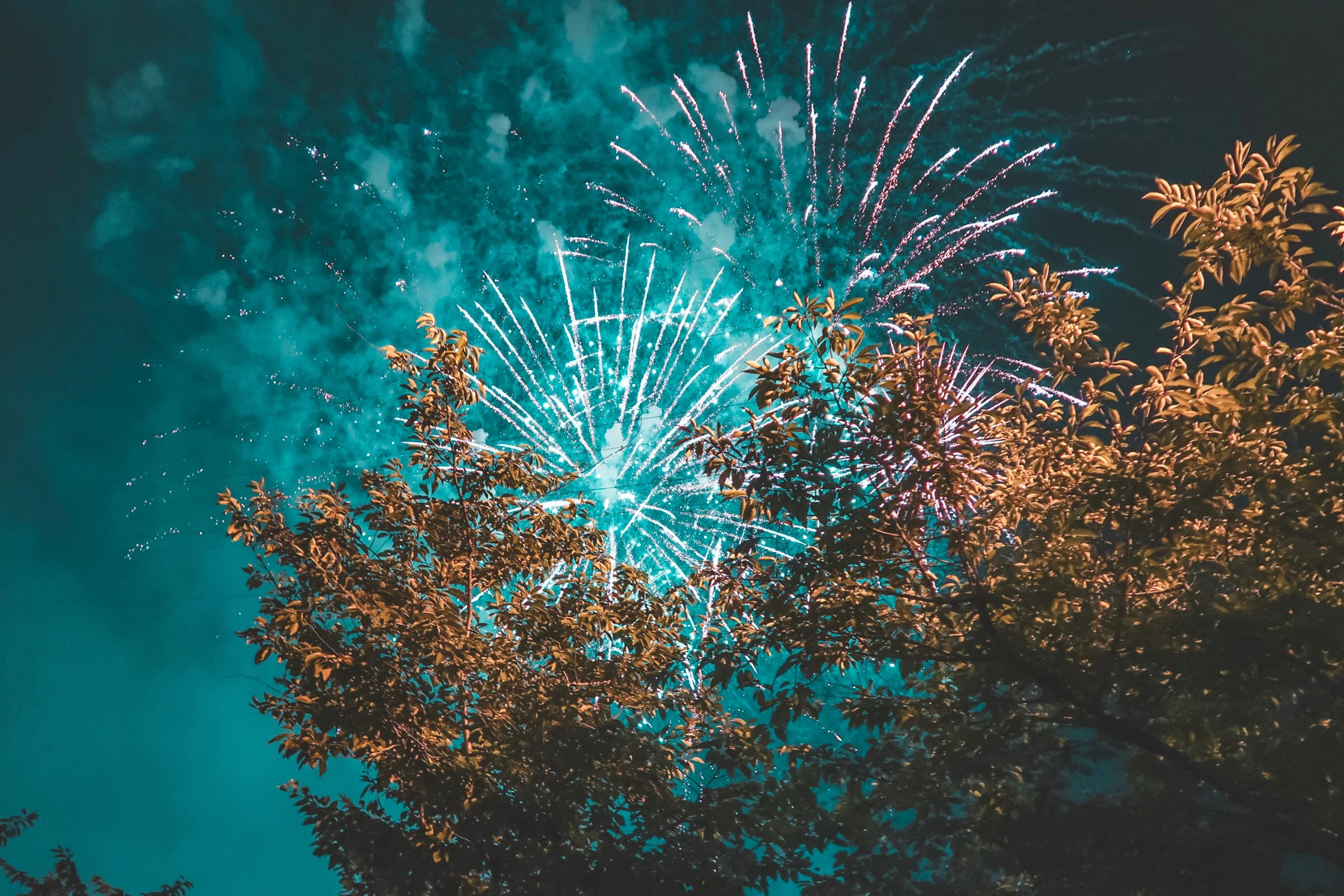 Photo of fireworks behind tree, turquoise sky. Photo by Julie Tupas on Unsplash