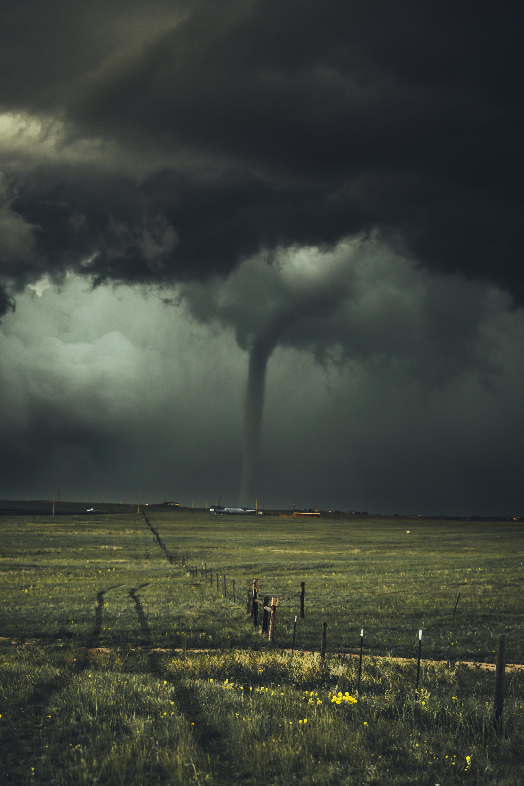 Photo credit: Nikolas Noonam