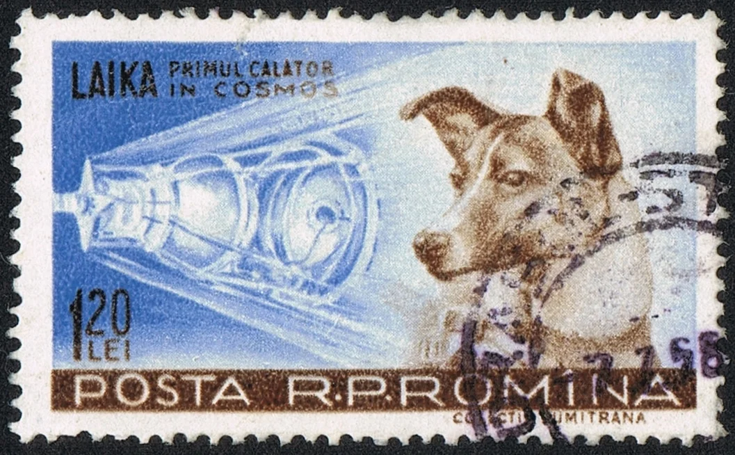 Romanian stamp from 1959 with Laika (the caption reads "Laika, first traveller into Cosmos") By scanned by user Neozoon, Public Domain