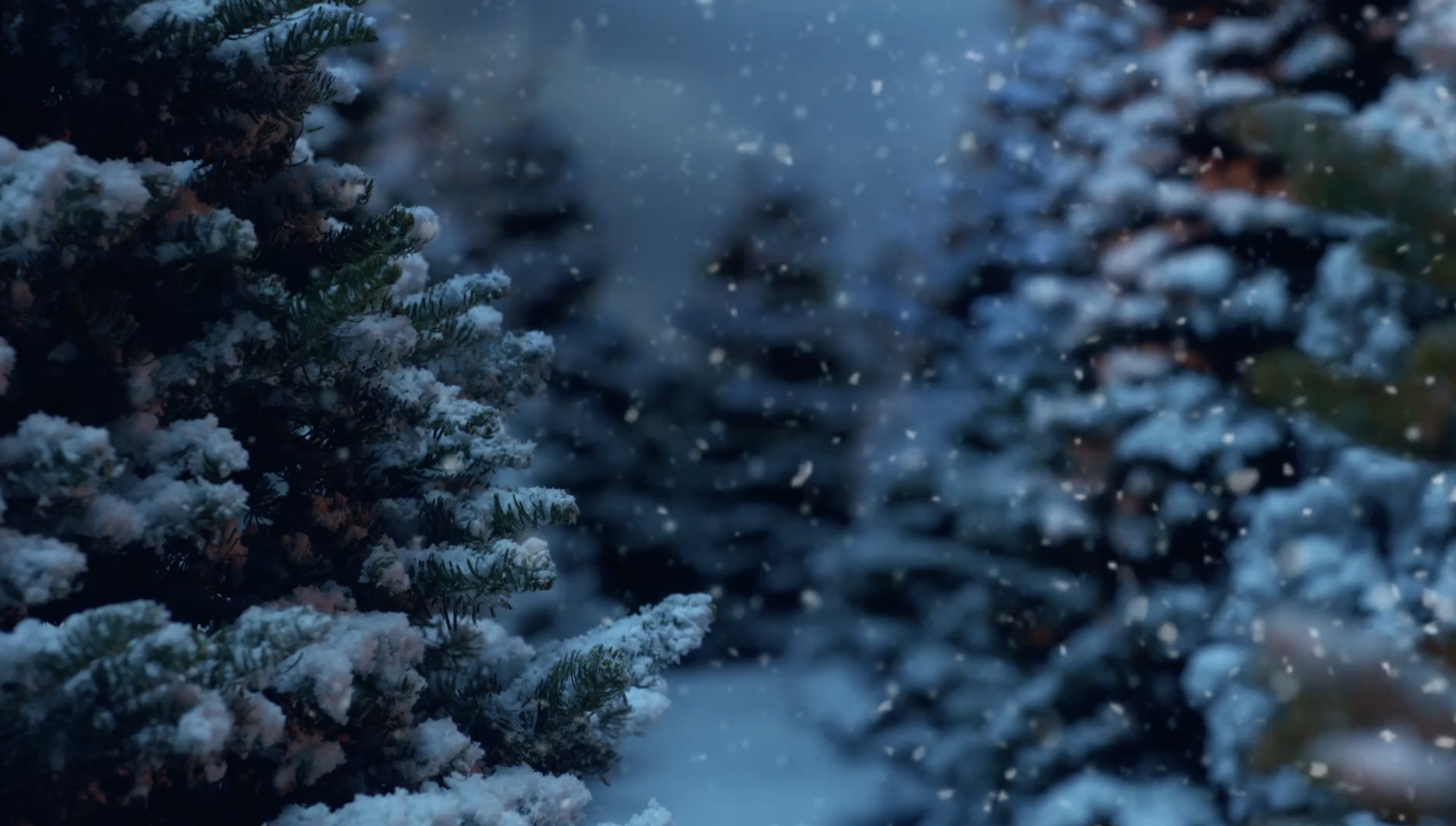 Screenshot 2026-02-05 at 4.21.42 PM.png