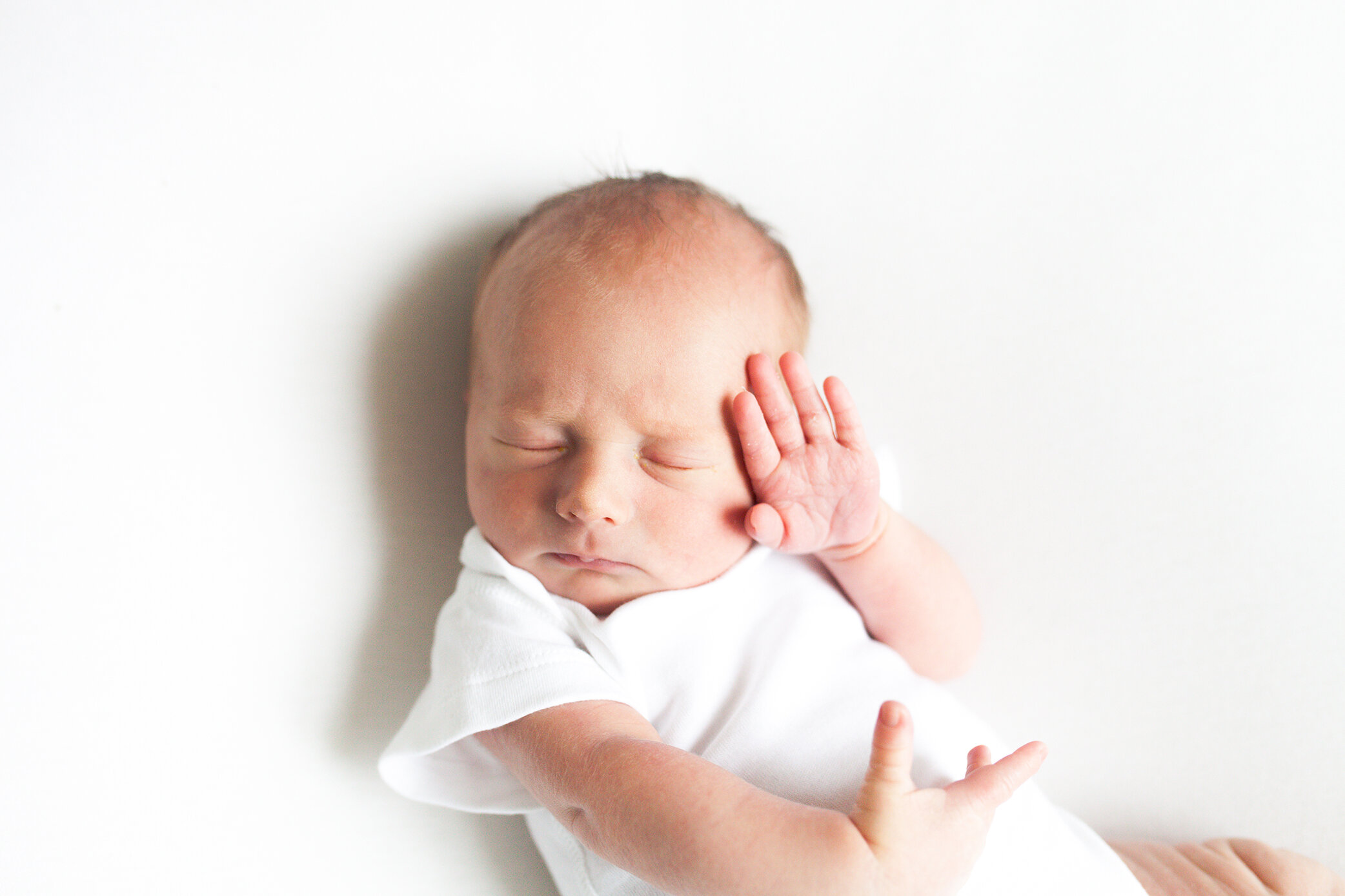 Newborn Photography Info