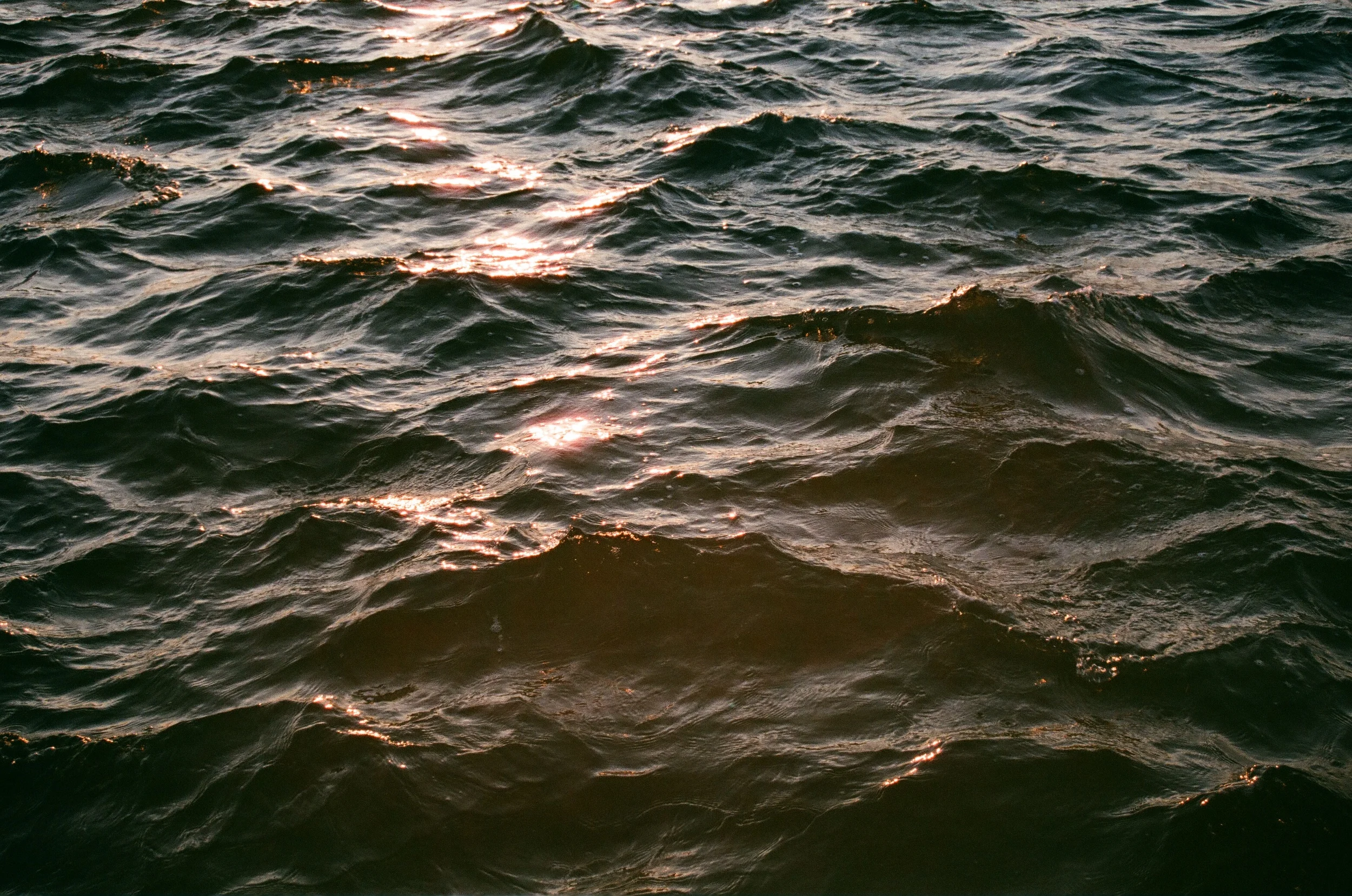 dock7.jpg