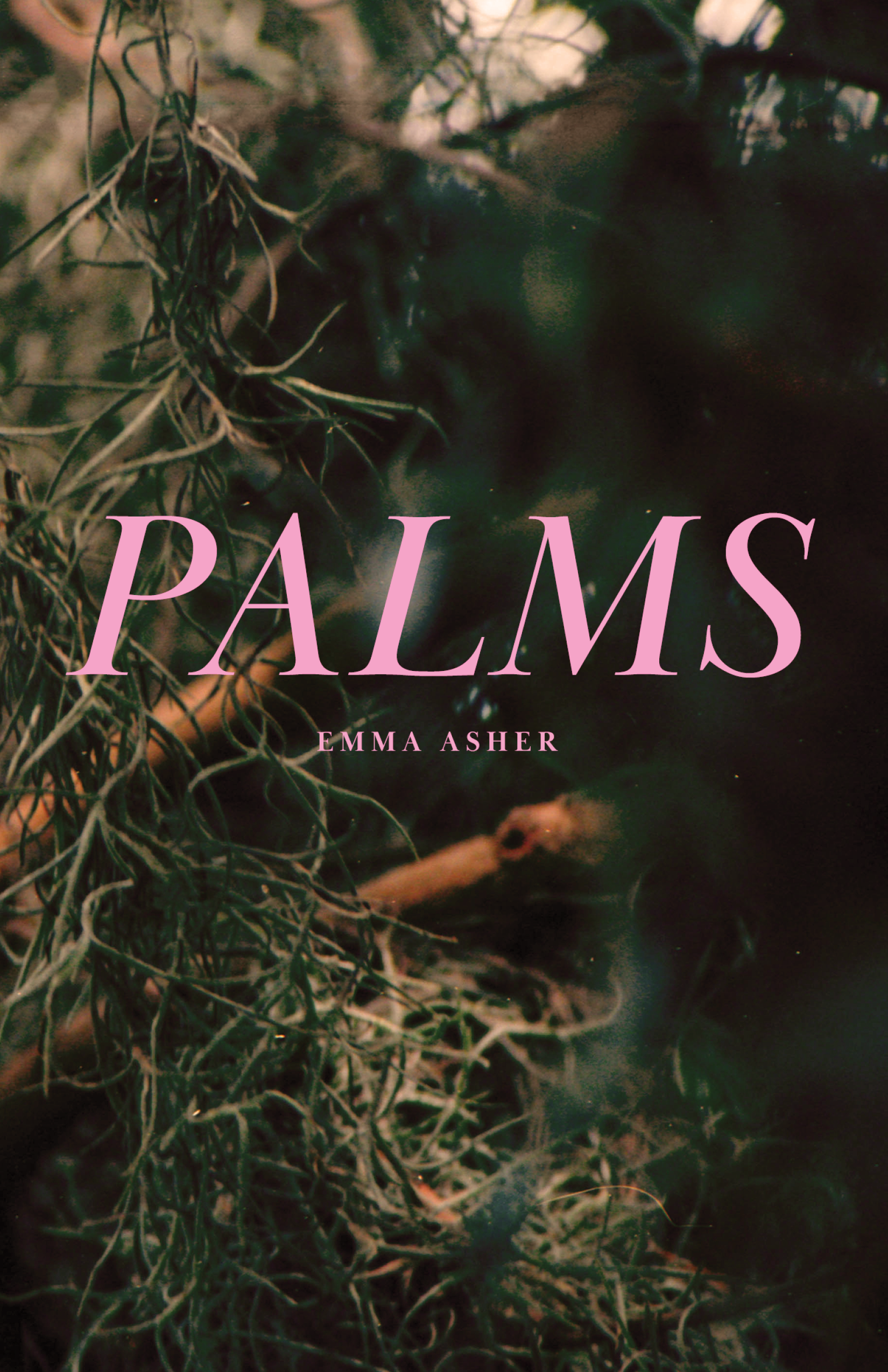 PALMS full-letter.png