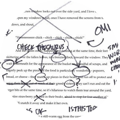 Essays That Start With WHY