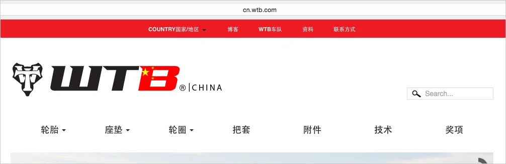 wtb_website_localization_china.jpg