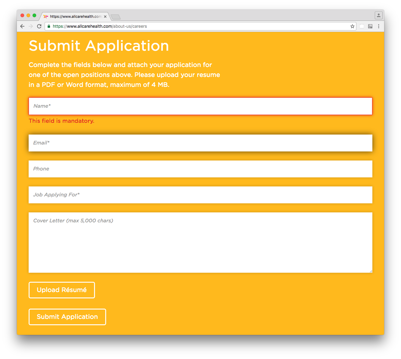 Job Application Form