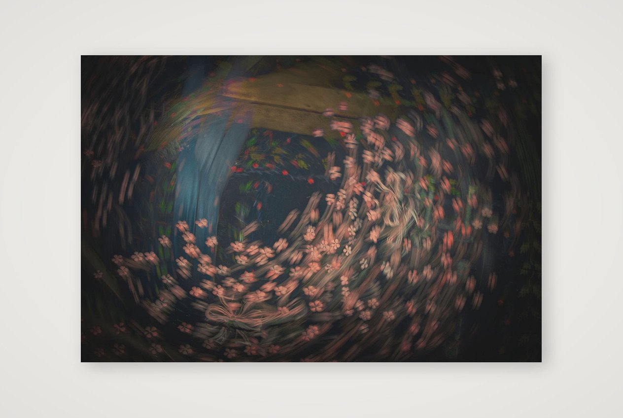Petal Dance