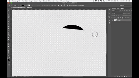 X-Ray Animal Friends Timelapse.gif