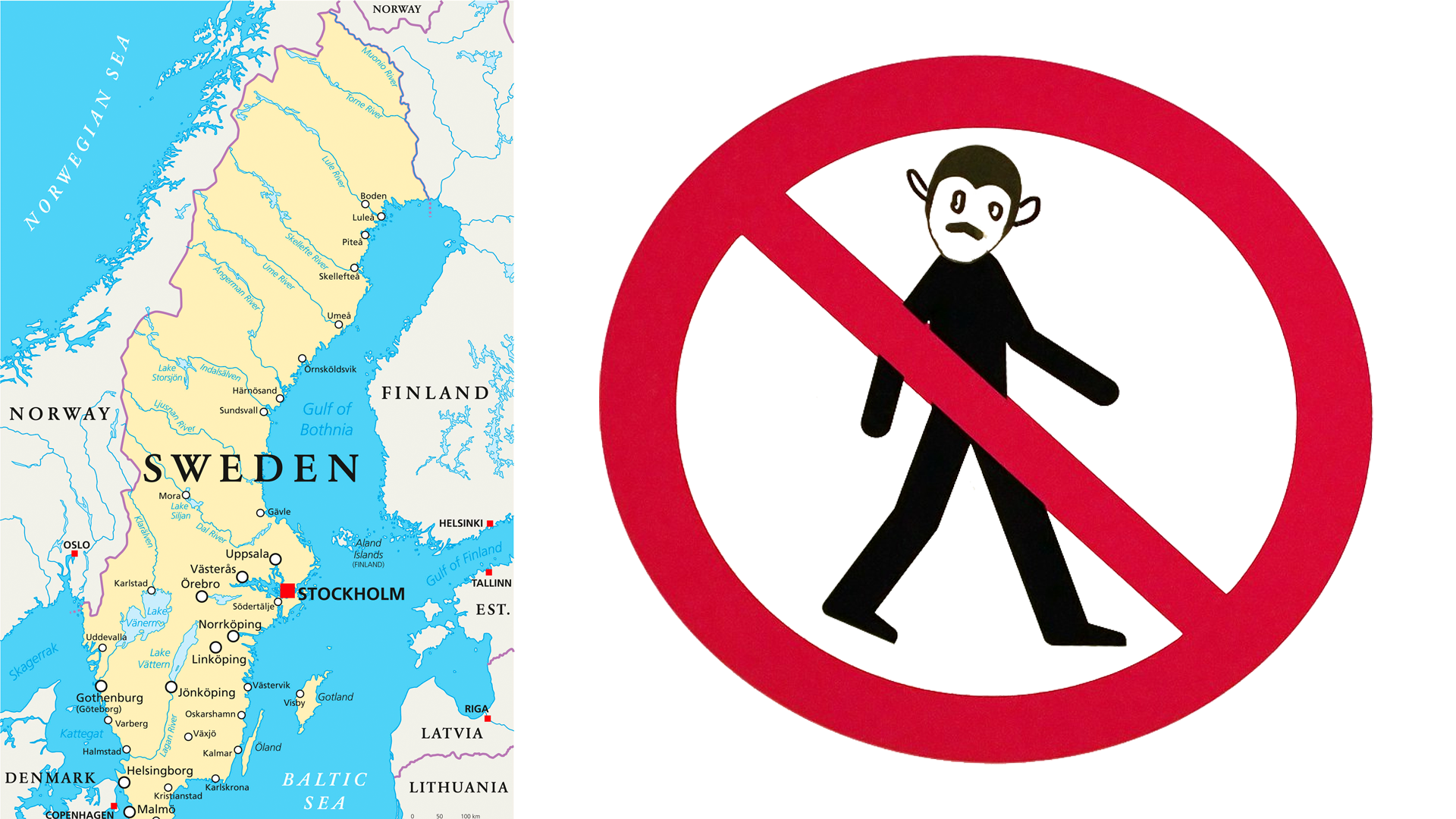 23: A man named Mattias Pilhede ’s grandfather was single handedly responsible for getting monkeys banned as pets in Sweden. https://youtu.be/cKOtPR0DZdU