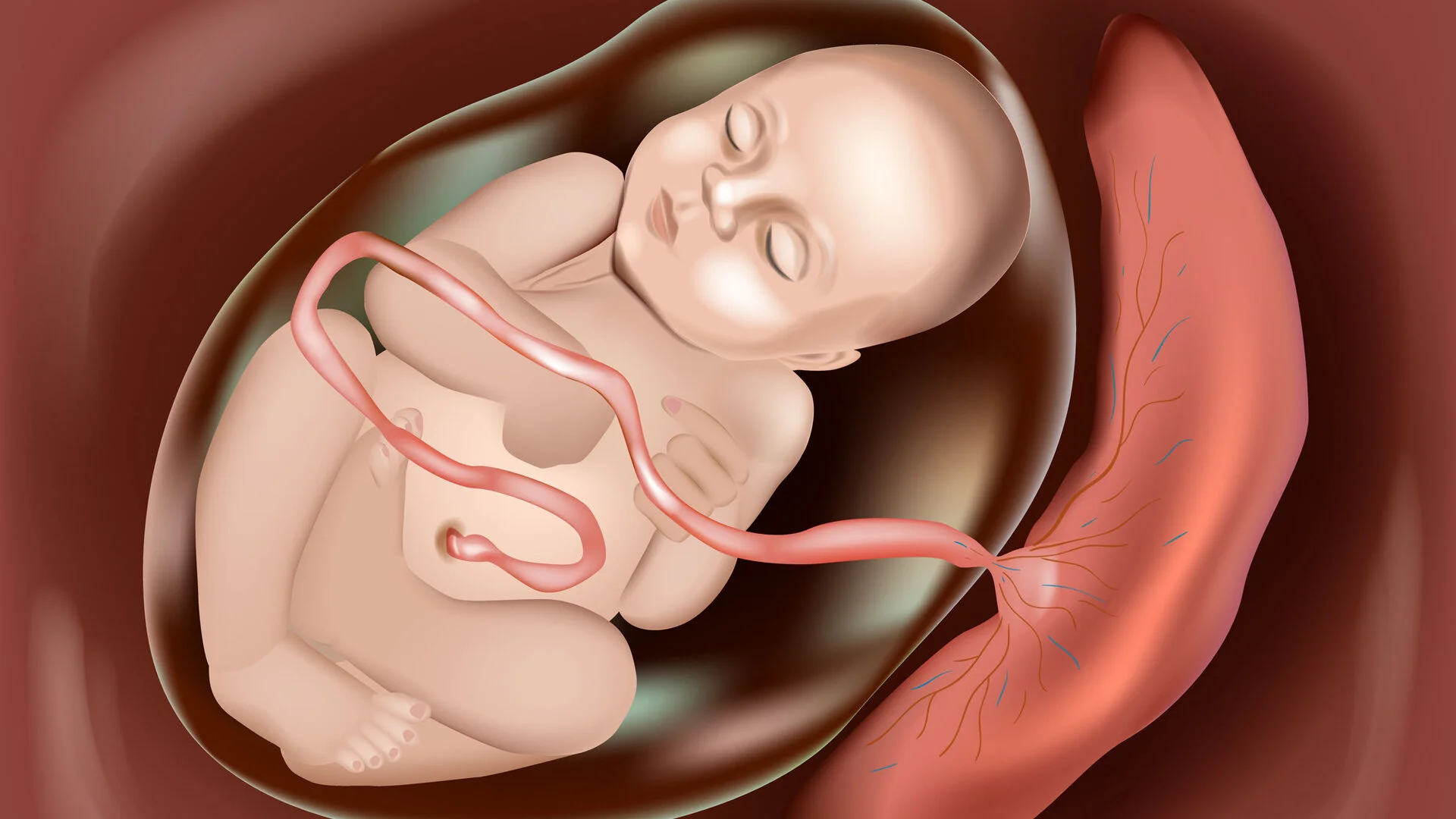 58: Whether a fetus is right or left handed can be predicted by its position in the womb.: https://www.youtube.com/watch?v=TGLYcYCm2FM
