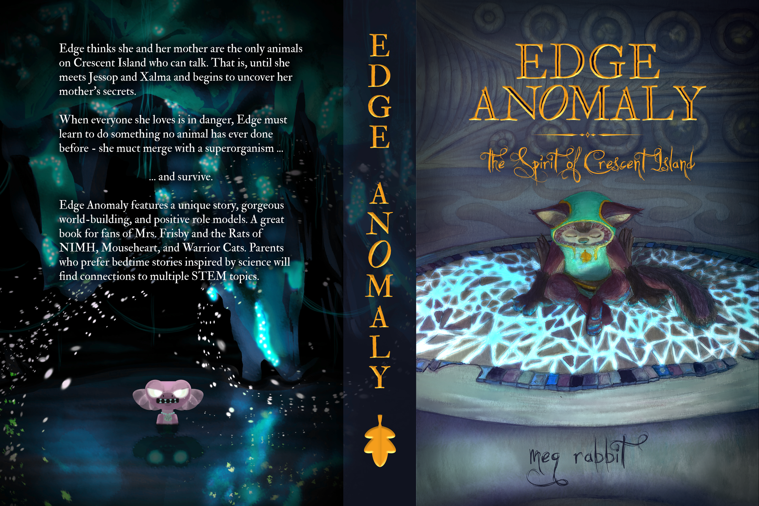 Edge Anomaly Cover