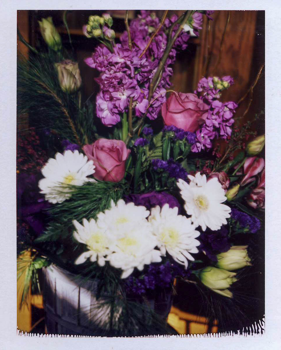 Our Polaroid Wedding