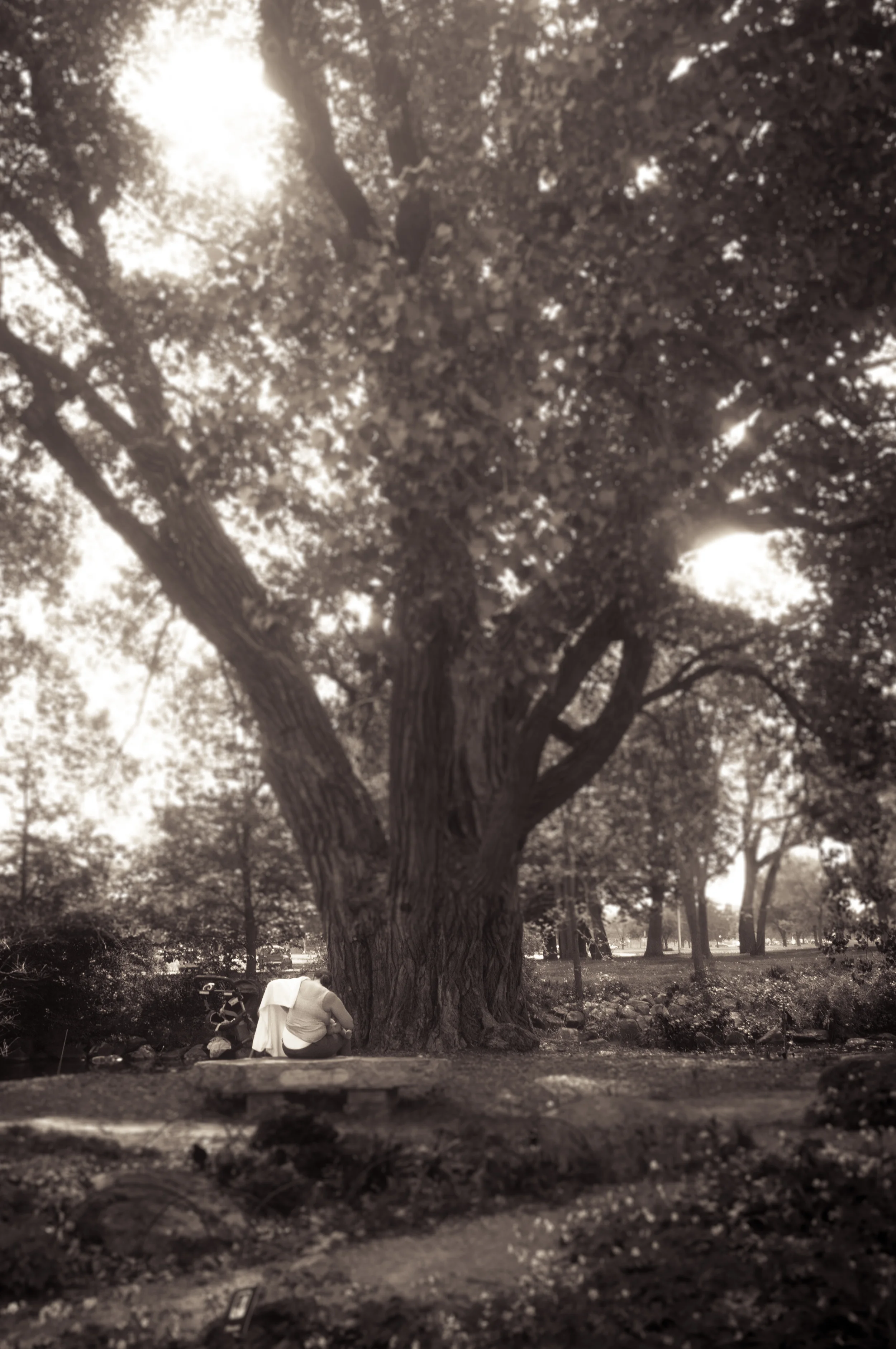 May Market-6.jpg