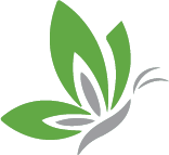 butterfly_green.png